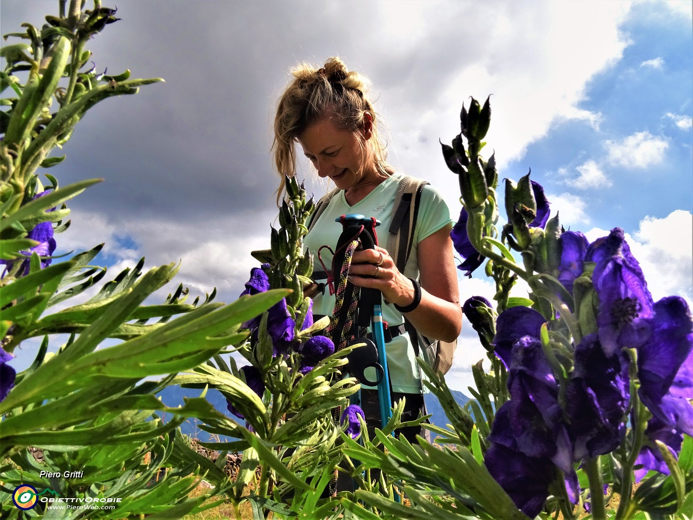 75 A tu per tu con Aconitum napellus (Aconito napello) .JPG